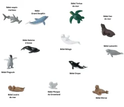 12 Animaux bébés animaux marins dans un tube de rangement