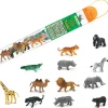 12 Animaux Sauvages SAVANE dans un tube de rangement