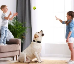 15 balles Ø 6 cm - mini ballon foot, basket, baseball, tennis