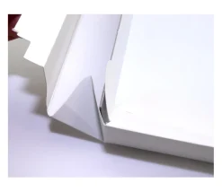 10 Boites neutres 275 x 275 x 47 mm - couvercle cloche à monter