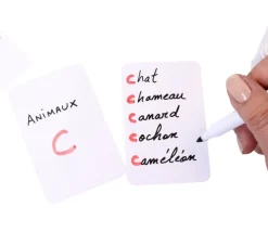 54 cartes blanches effaçables 59 x 91 mm