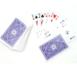 54 cartes internationales 100 % plastique Lonfield dans boite plastique