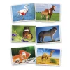 54 Fiches photos animaux pour jeux de langage