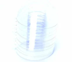 5 grosses Boules 10 cm plastique cristal à remplir et suspendre