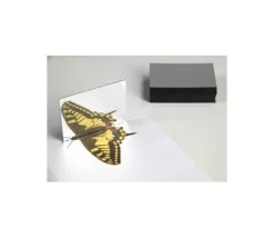 25 mini Miroirs 8.7 x 6.2 cm en plastique