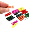 24 Mini pinces à linge en bois coloré - 25 mm