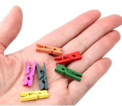 24 Mini pinces à linge en bois coloré - 25 mm