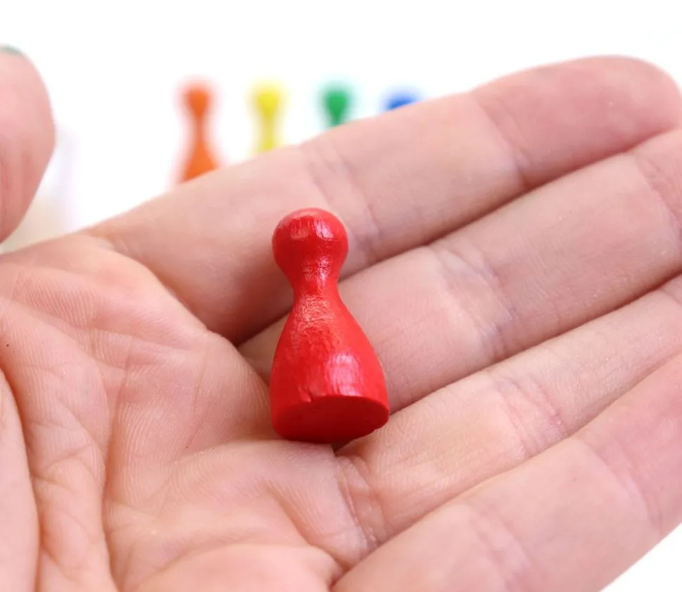 8 Pions multicolores 24x12 mm small en bois lot de 8 couleurs