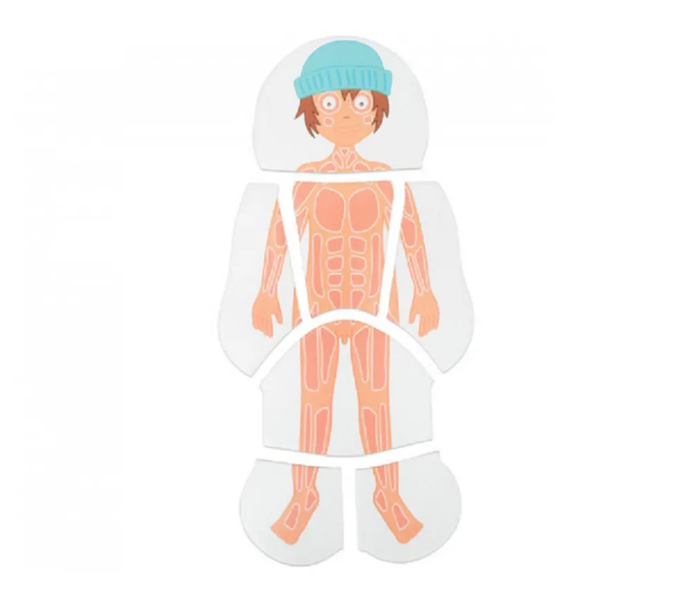 4 puzzles à étage - anatomie garçon de 28 pièces