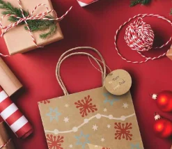 24 Sacs cadeau Noël kraft avec anse à garnir