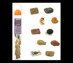 Anciens fossiles 4/5 cm - paléontologie 10 pièces