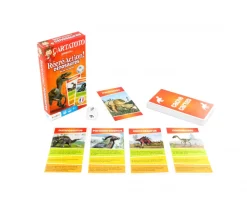 Cartatoto Les Dinosaures récréaction - jeu