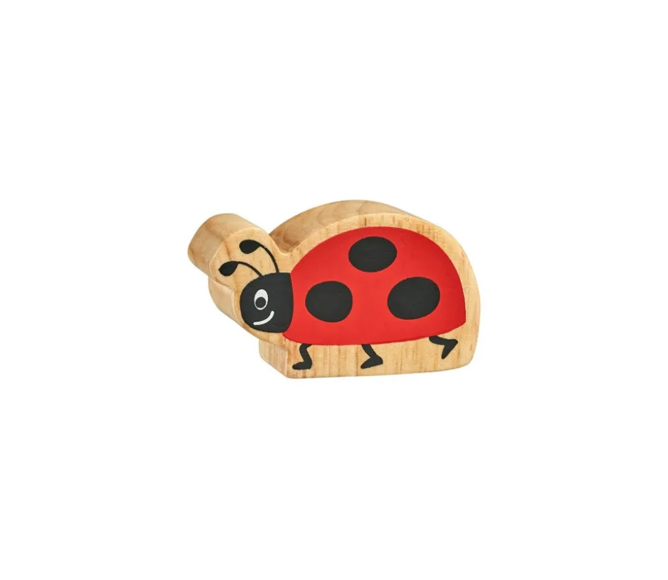 Coccinelle en bois 35 x 60 x 25 mm