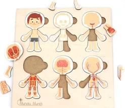 Corps humain découverte : 6 mini puzzles bois