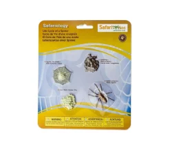 Cycle de la vie d'une araignée