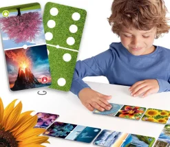 Domino merveilles de la nature