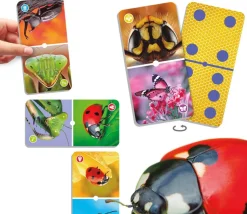 Domino nature : insectes