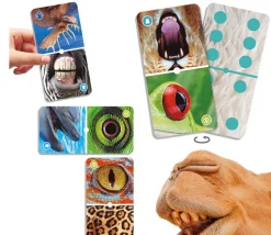 Domino nature : Zoom sur les animaux