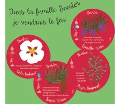 Huiles essentielles découverte - Jeu de mémo