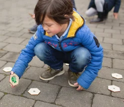 Jeu bois Les insectes - Mémo géant et recherche active