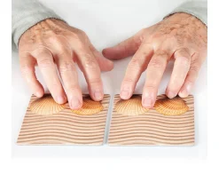 Maxi mémo tactile de la Nature - texture en relief