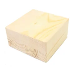 Pavé géant en bois 10 x 10 x 5 cm