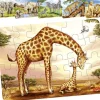 Petit puzzle en bois Animal africain 24 pièces (1 modèle mis au hasard)
