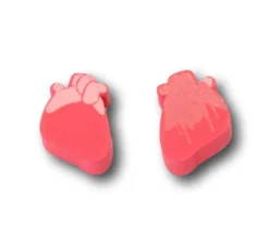 Pion Coeur humain bonne santé et malade en bois