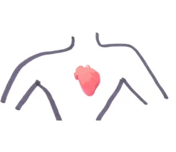 Pion Coeur humain bonne santé et malade en bois