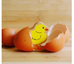 Poussin jaune en bois 48 x 38 x 25 mm