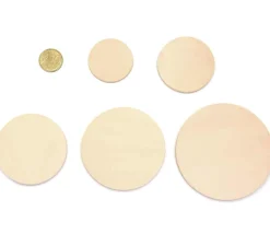 Puzzle bois naturel 5 ronds - plateau 33 x 21 cm