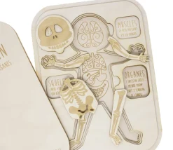 Puzzle éducatif en bois Le corps humain : muscle, squelette et organes