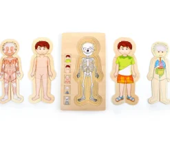Puzzles anatomie garçon - 4 puzzles à étage