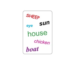 Tamtam English - les premiers mots d'anglais