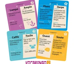 Vocadingo CM1 CM2 - jeu vocabulaire et orthographe basé sur les anagrammes
